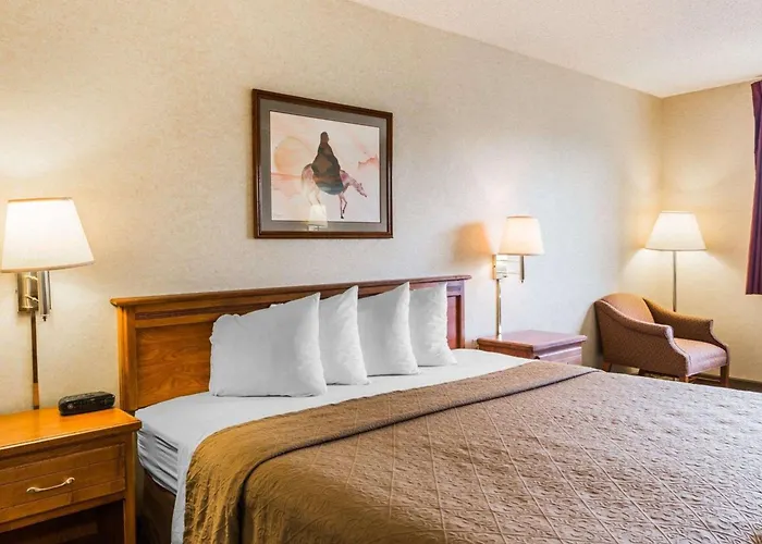 Quality Inn & Suites Montrose - Black Canyon Area
