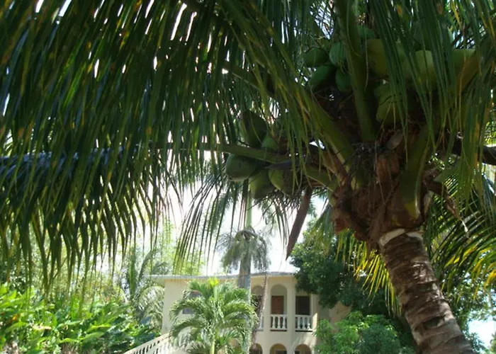 Ocean Wave Villa, Negril