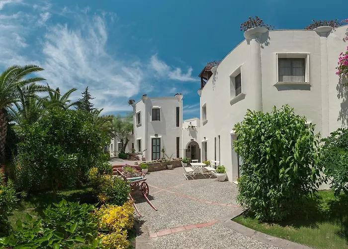 Torba Hotels
