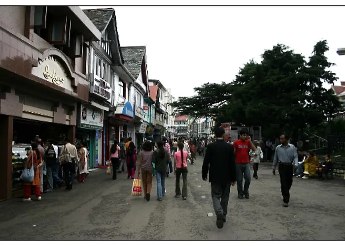 Hotel Pankaj Shimla