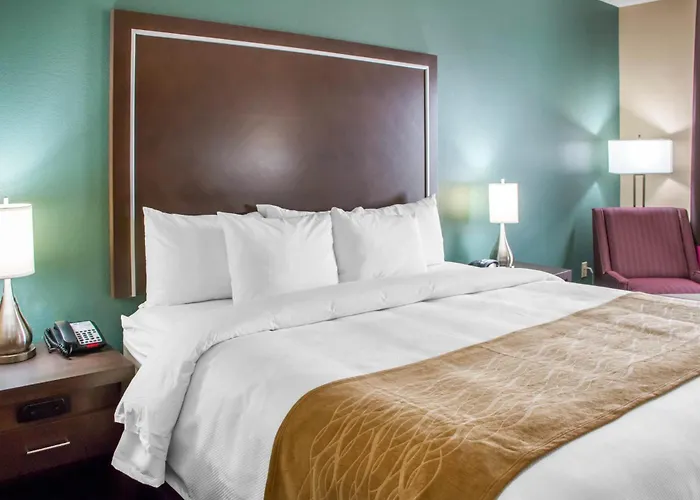 Comfort Inn & Suites San Marcos Near Outlet Mall