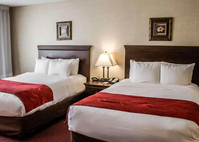 Comfort Suites Lake George - Queensbury