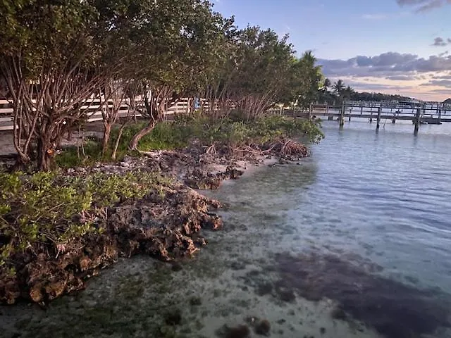 Bahia Bay Resort Key Largo